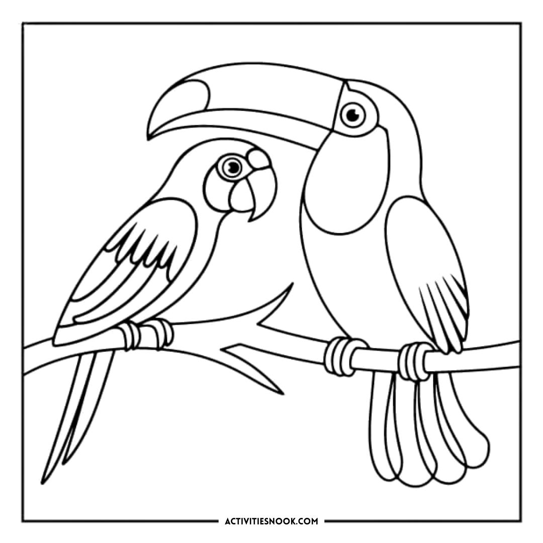 Black and white coloring page featuring a parrot and a toucan perched on a branch.