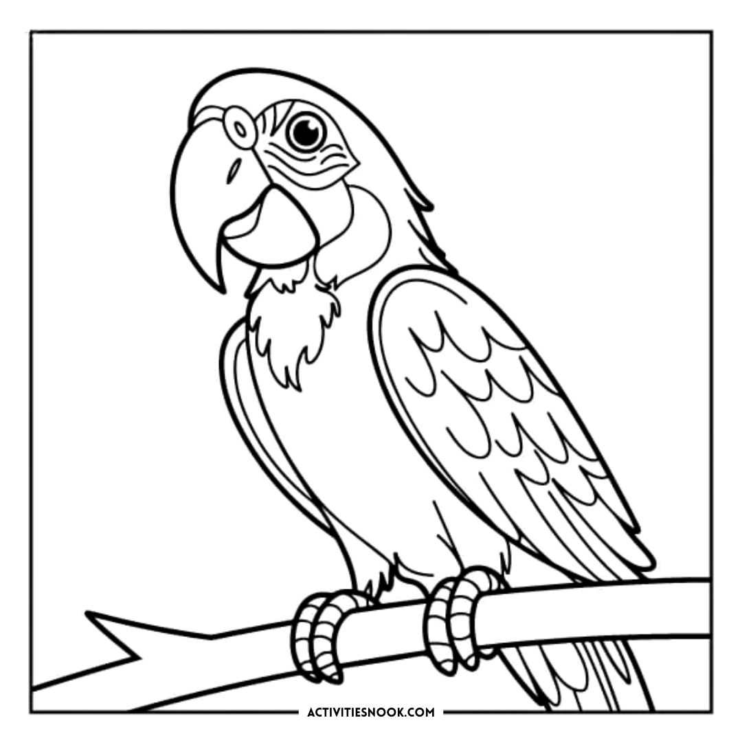 Line art illustration of a parrot perched on a branch, featuring intricate details and outlines for coloring.