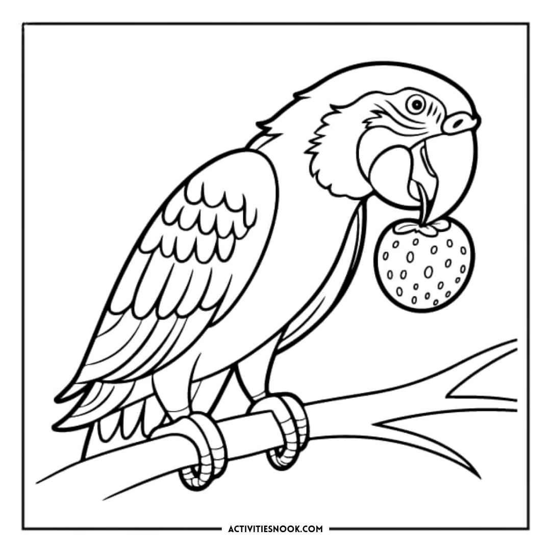 Black and white coloring page of a parrot holding an orange on a branch.