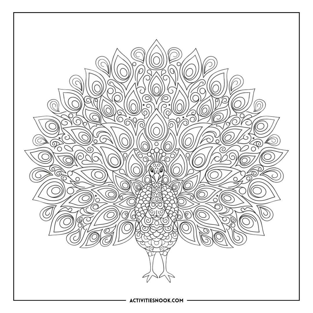 Intricate black and white peacock coloring page with detailed feather patterns and a symmetrical design.