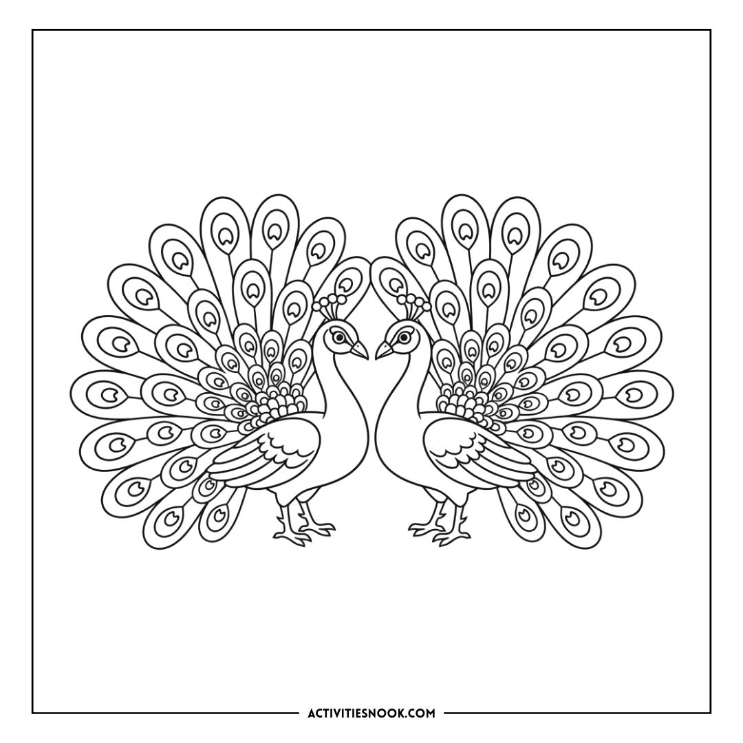 Two peacocks with elaborate feather displays in a symmetrical design for coloring activities.