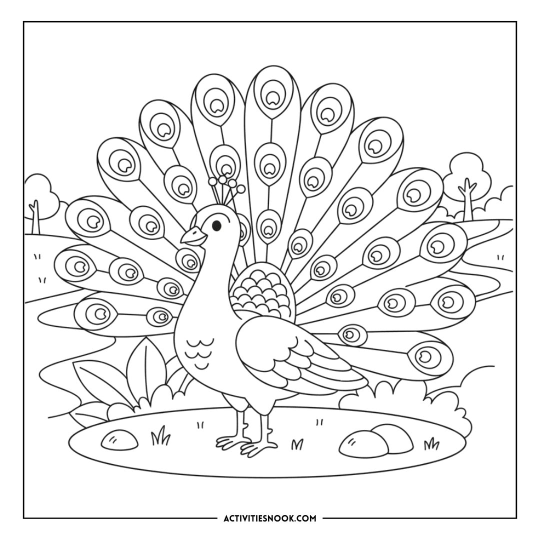 Black and white coloring page of a peacock displaying its feathers in a garden setting.