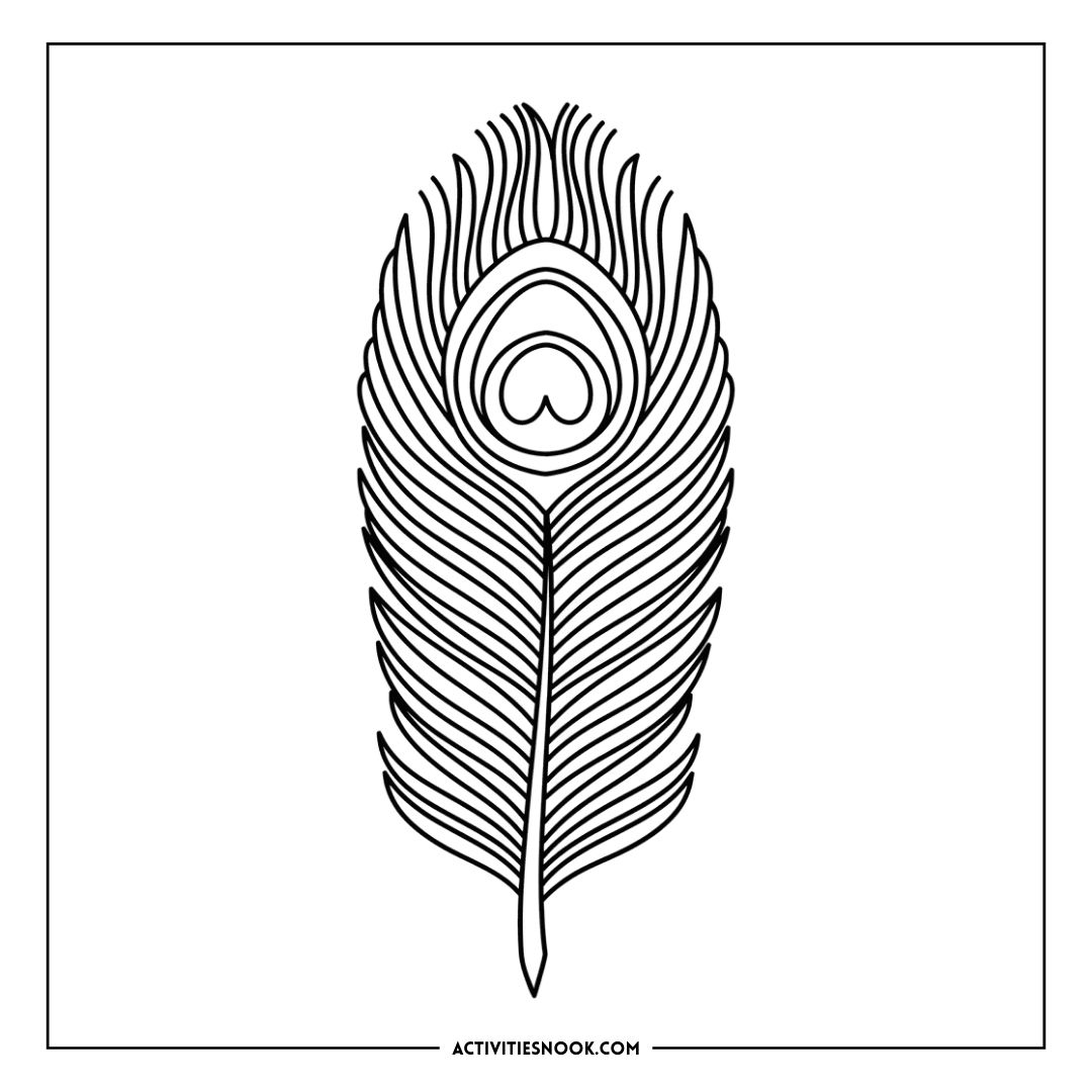 Black and white illustration of a peacock feather with intricate line patterns and details.