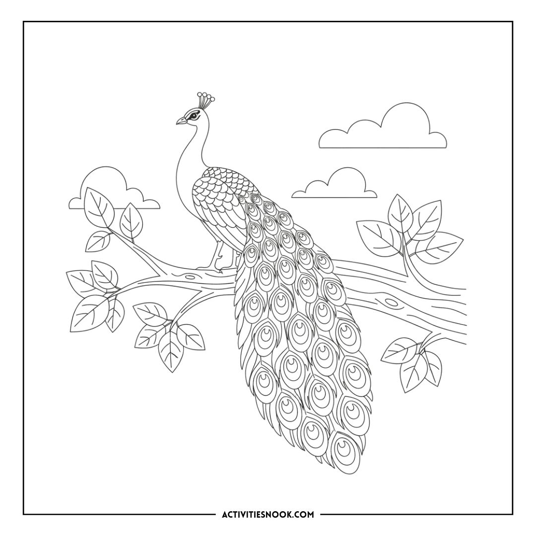 Line art illustration of a peacock standing on a branch with a detailed feather pattern.