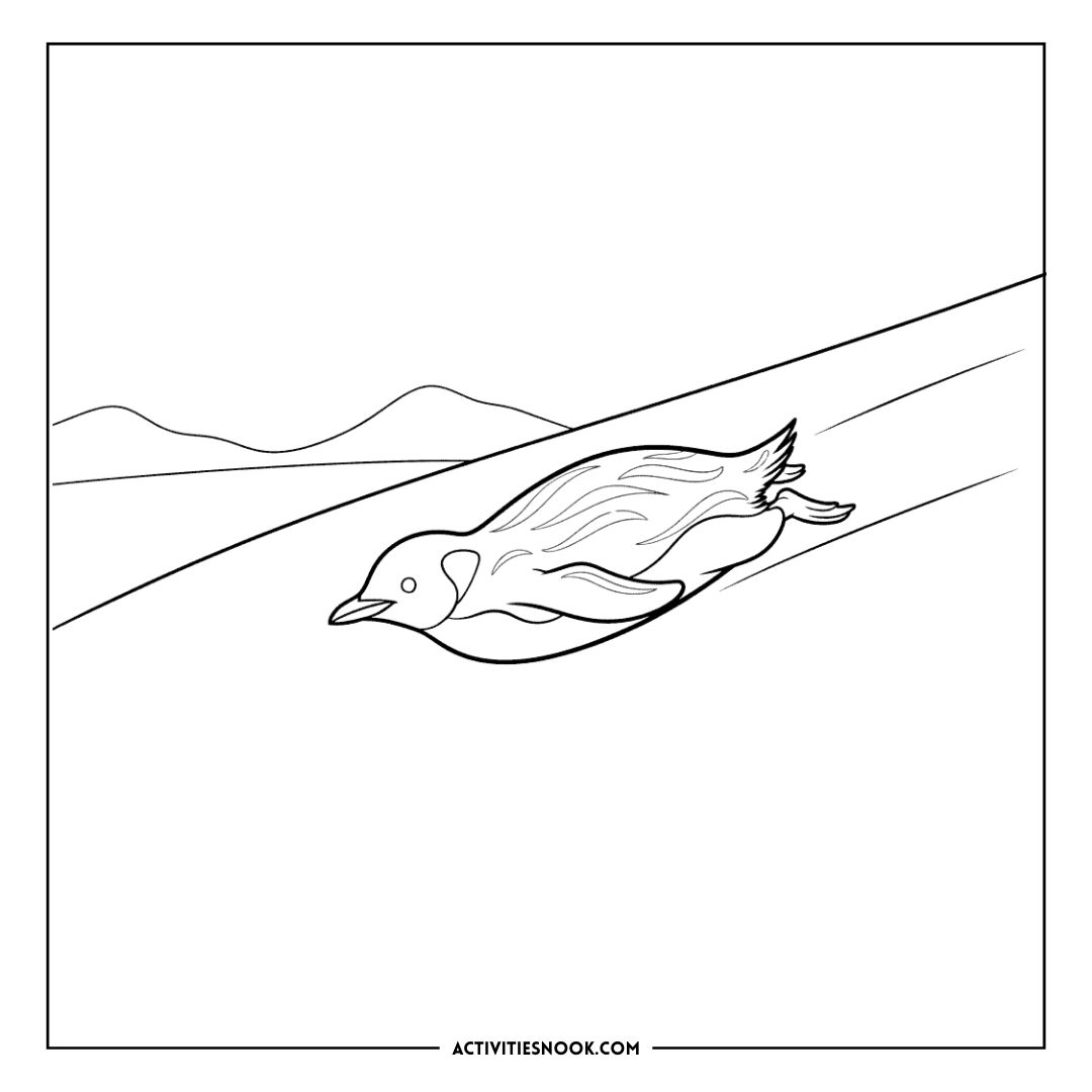 Black and white outline drawing of a penguin sliding on its belly across the snow.