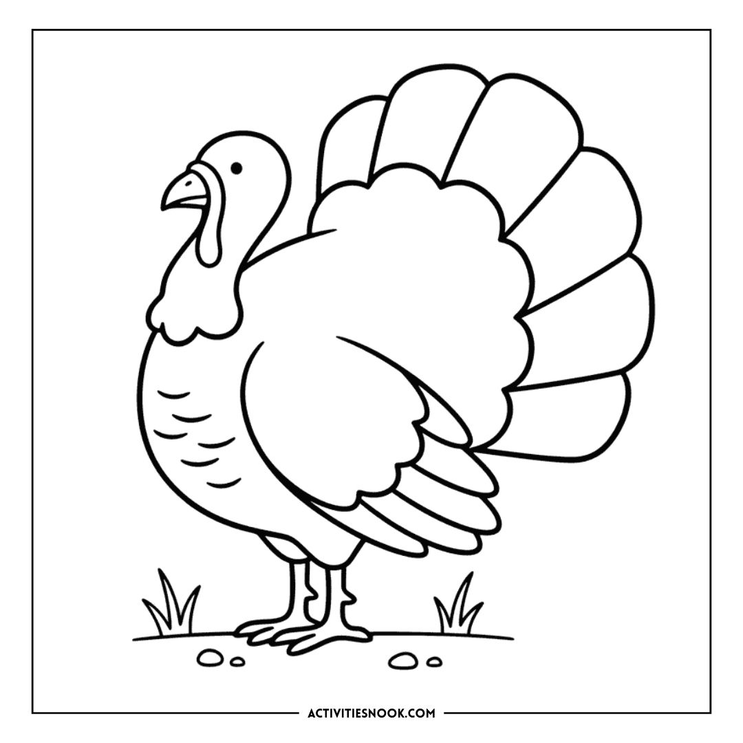 Black and white outline drawing of a turkey with a large fan-shaped tail and detailed feathers.